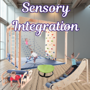Collection image for: Sensory Integration