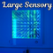 Large Sensory