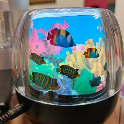 Rotating Fish Lamp