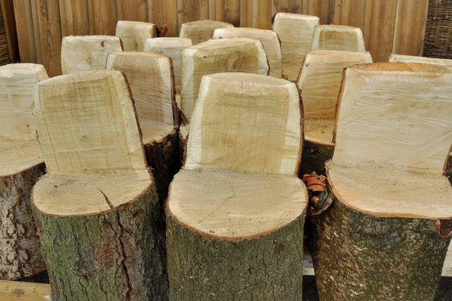 Stacks of cut logs with visible bark and tree stumps.