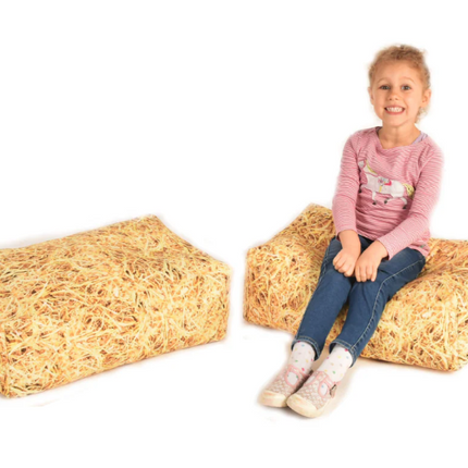Forest School Bean Bag Bench Seats (Pair)- 600mm x 400mm x approx. 200mm thick- Multiple Designs