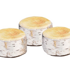 Silver Tree Stumps