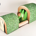 Grass