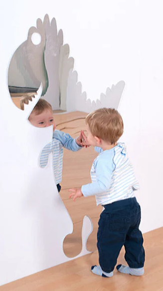 Giant T-Rex Safety Mirror-Indoor/Outdoor use | Sensory Mirror
