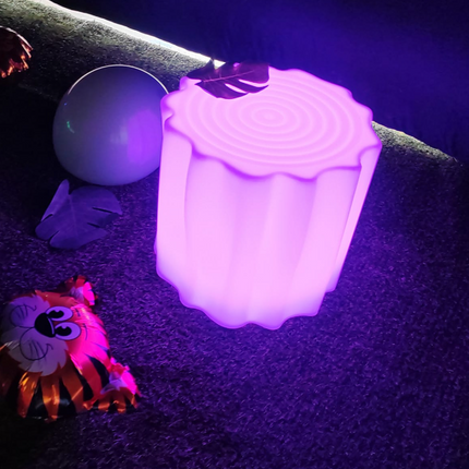 Rechargeable Colour Changing LED Tree Trunk with Remote