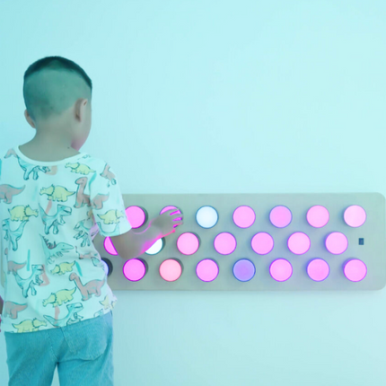 Rotating Colour Spectrum Light Panel – Wall-Mounted LED Sensory Light