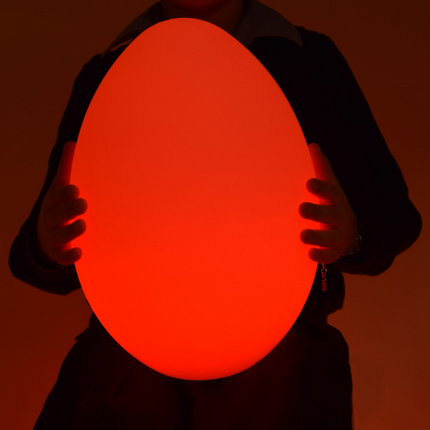 Sensory Egg Shaped Mood Light- Rechargeable- Small/Large