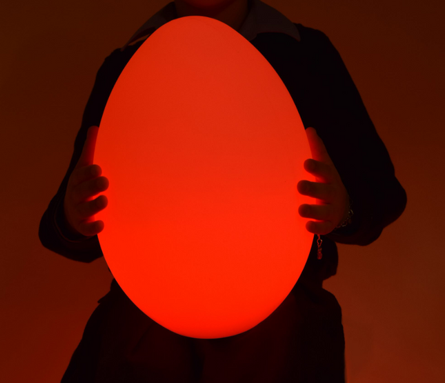 Sensory Egg Shaped Mood Light- Rechargeable- Small/Large