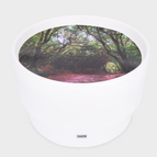 Mood Discovery Table + 1x Forest Discovery Play Mat / Low Sensory Mood Discovery Table - 28.5cm x 69cm