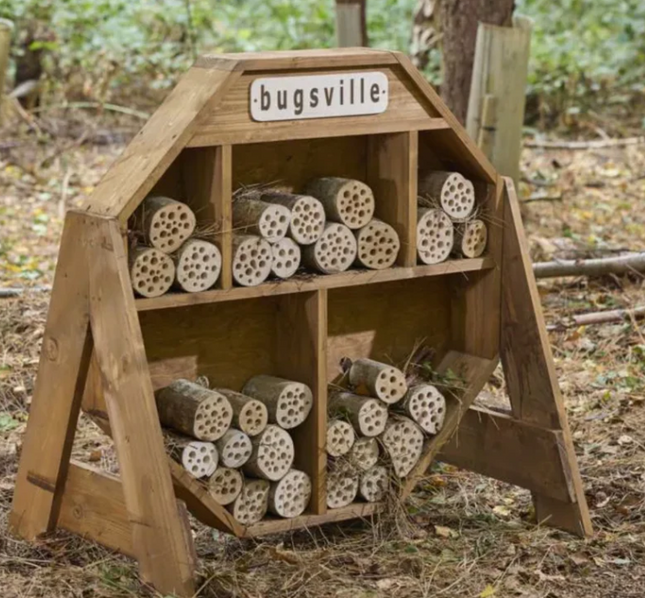 Bugsville Hive - Outdoor Learning | Forest School | Garden Seating | Nature | Insect