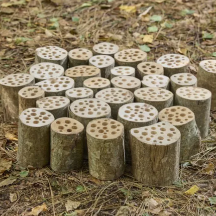 Bugsville Hive - Outdoor Learning | Forest School | Garden Seating | Nature | Insect