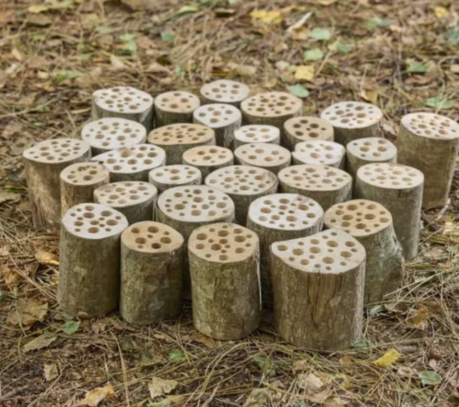 Bugsville Hive - Outdoor Learning | Forest School | Garden Seating | Nature | Insect
