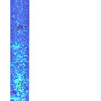 Bubble Tube + Wall Bracket