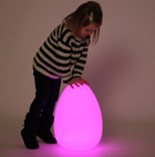 Sensory Egg Shaped Mood Light- Rechargeable- Small/Large