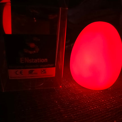 Sensory LED Colour Changing  Mini Mood Egg Night Lights- Single or Pack of 4